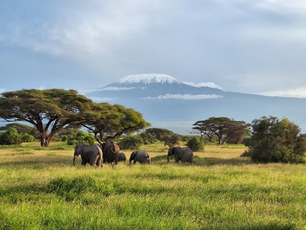 amboseli national Park