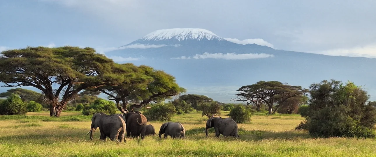amboseli national Park