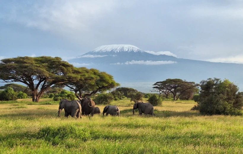 6-Day Kenyan Northern Circuit Safari