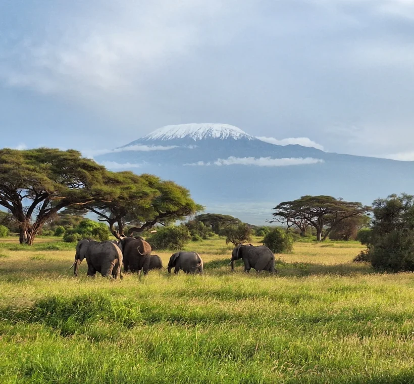 amboseli national Park