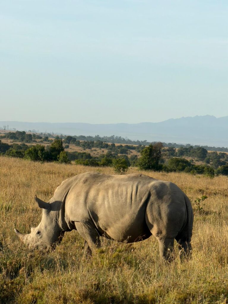 Lake Nakuru Safari Packages 