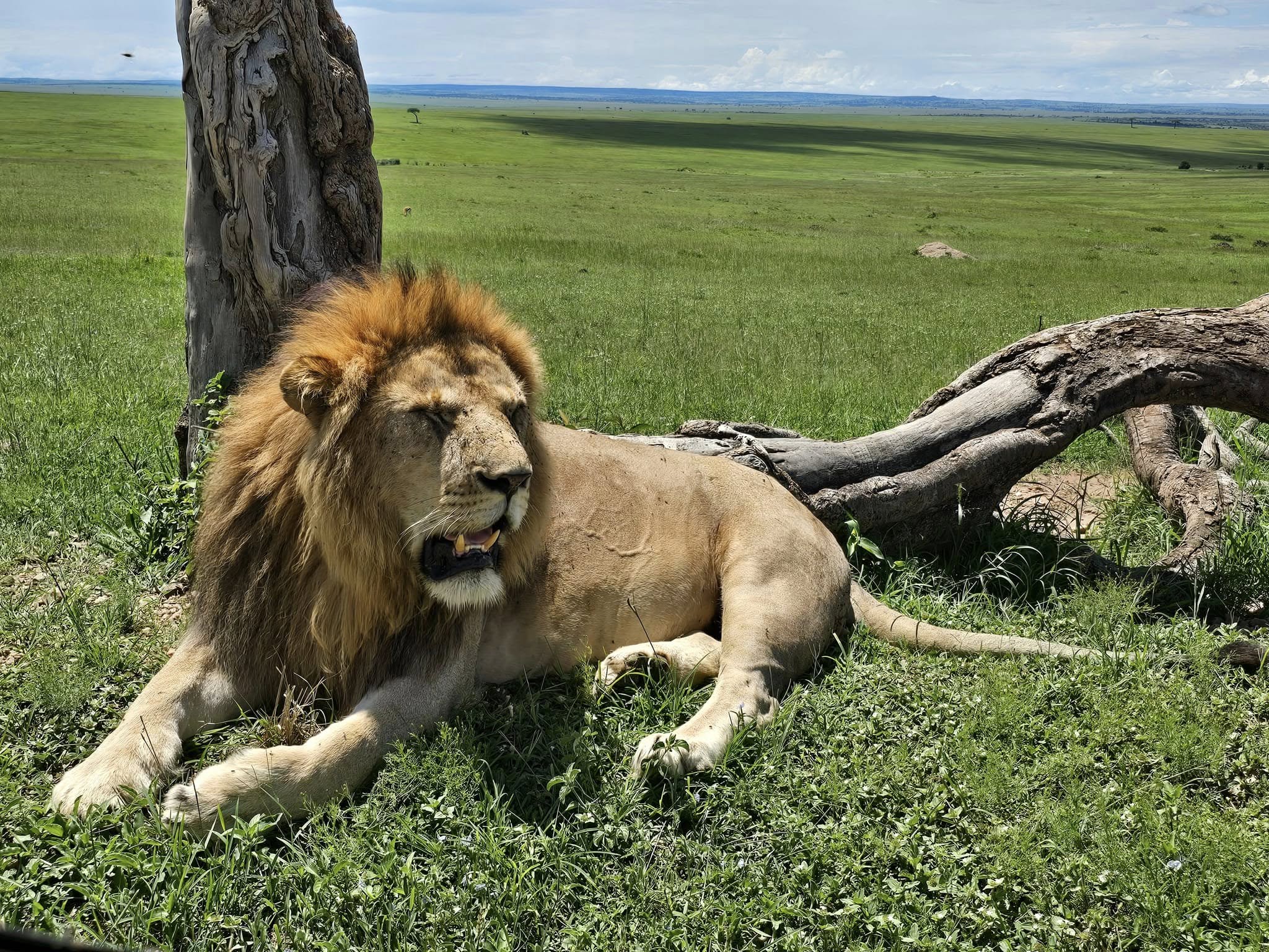 Masai Mara National Park