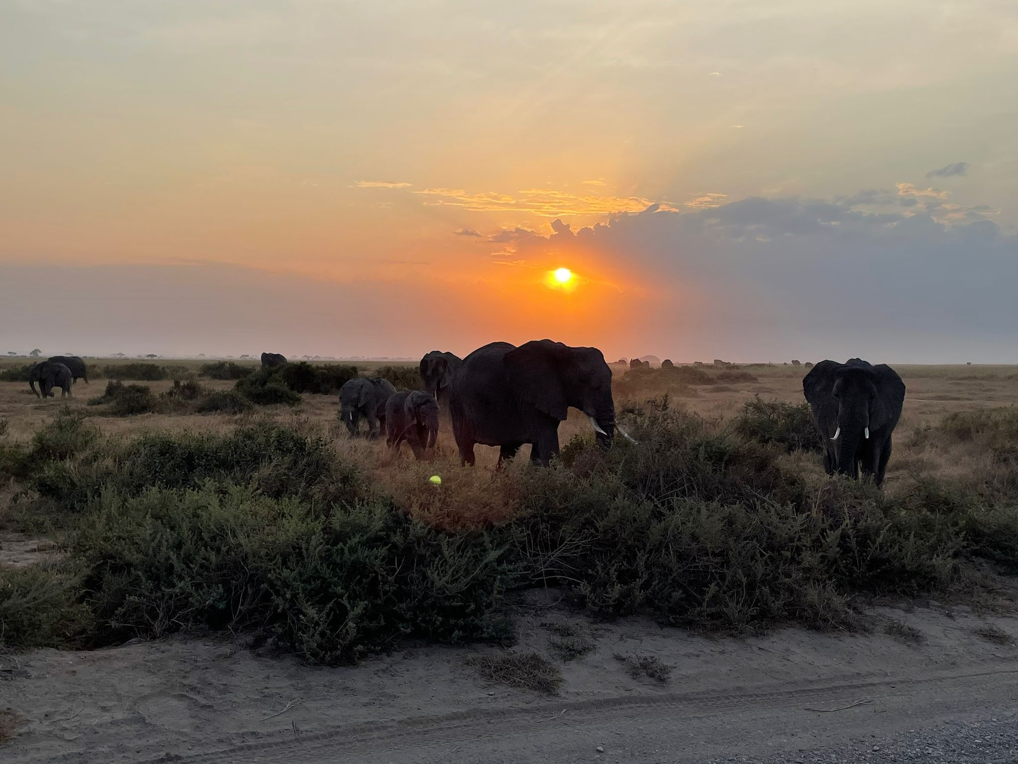 Amboseli National Park