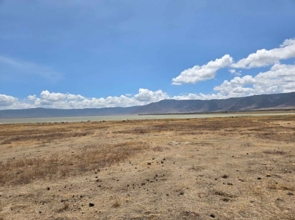 the dry season in Ngorongoro crater