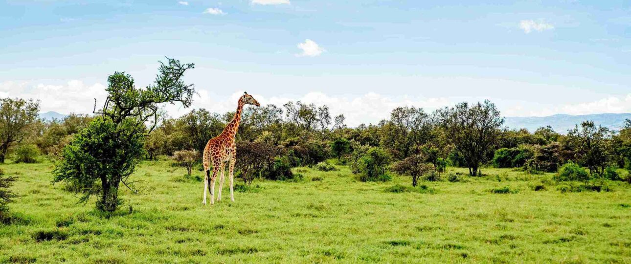 10-Day PMK Safari