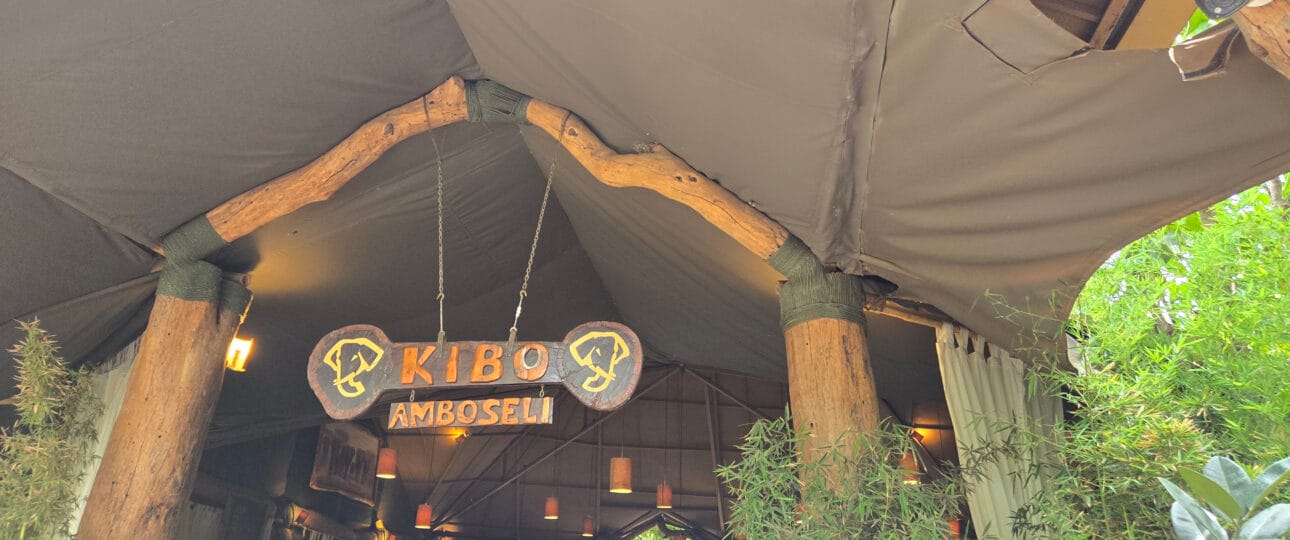 Luxury Amboseli Safari