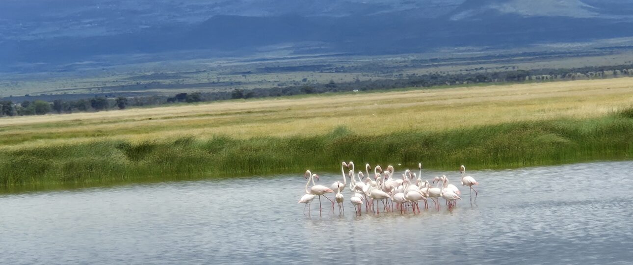 Lake Amboseli in Amboseli national apark