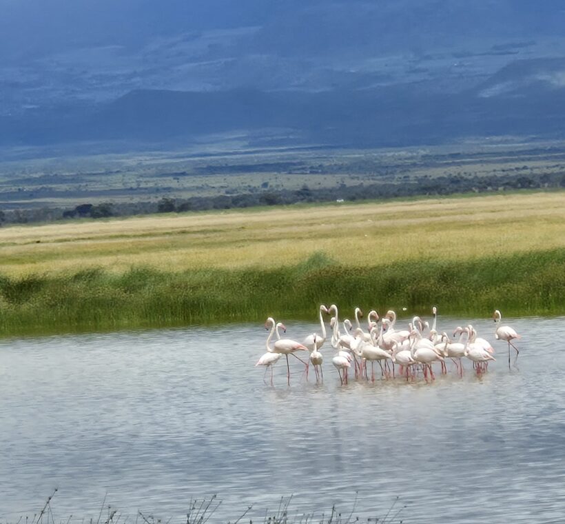 Lake Amboseli in Amboseli national apark