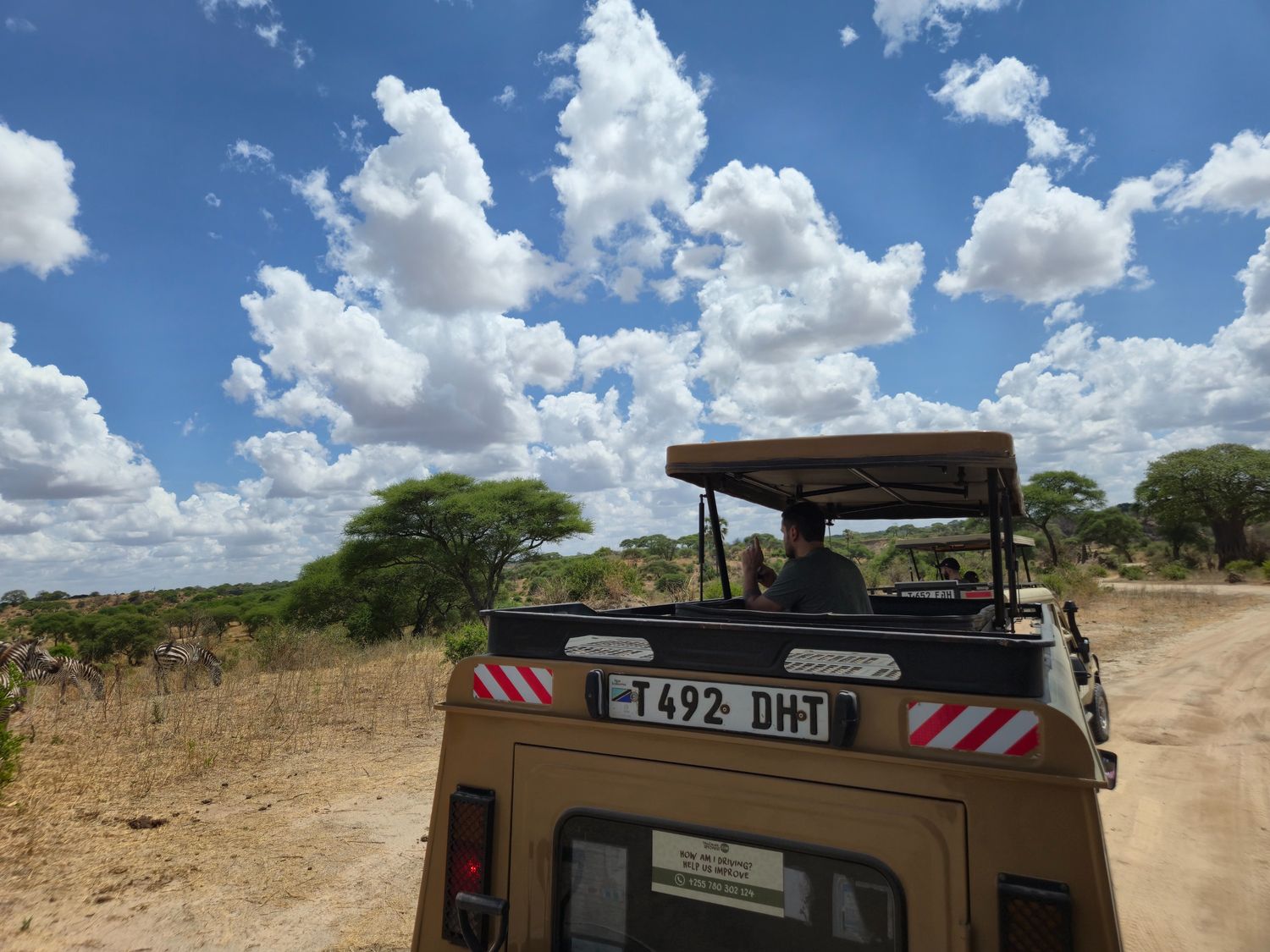 Affordable Tanzania safari packages