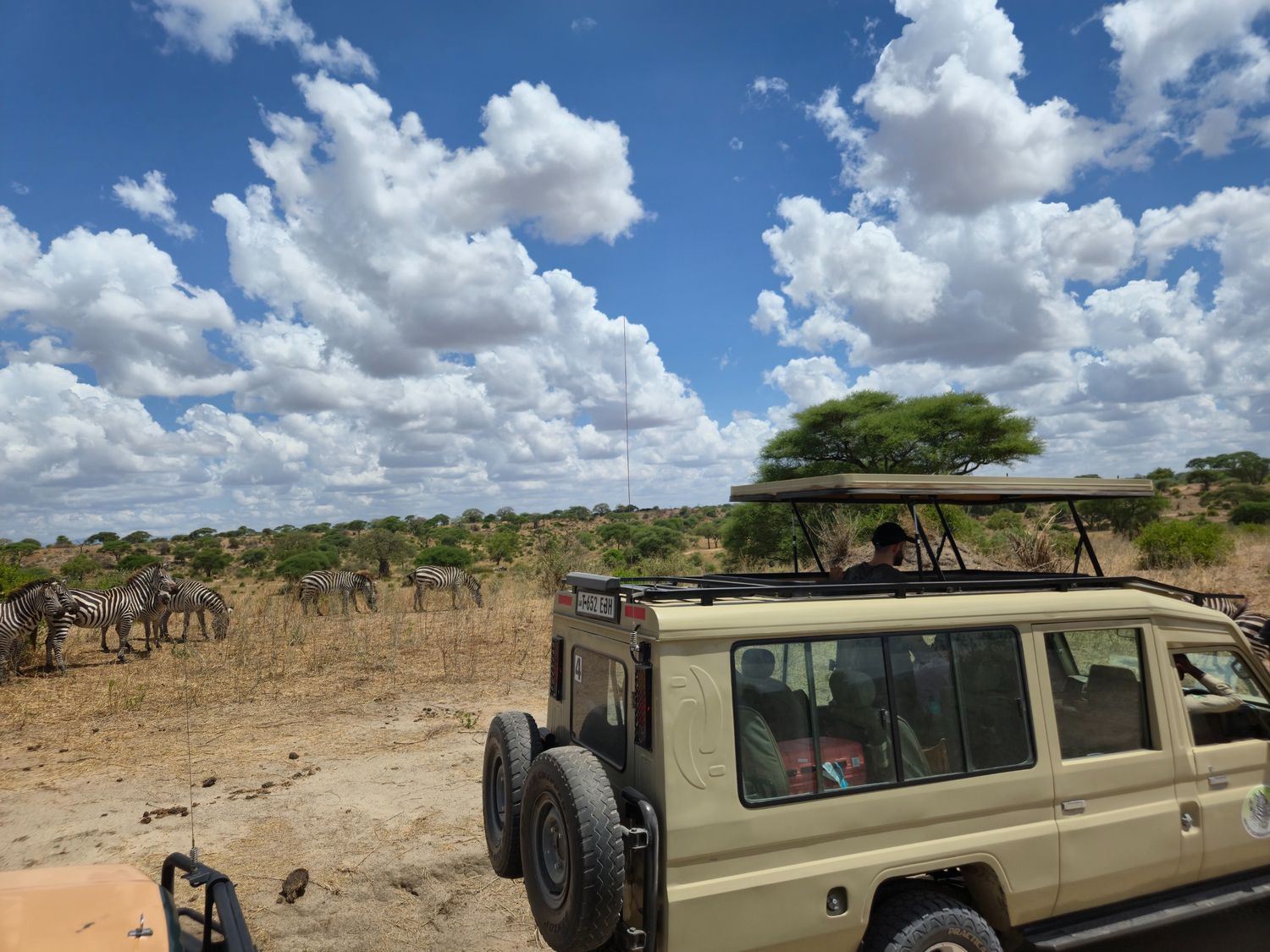 Kenyan safari packages