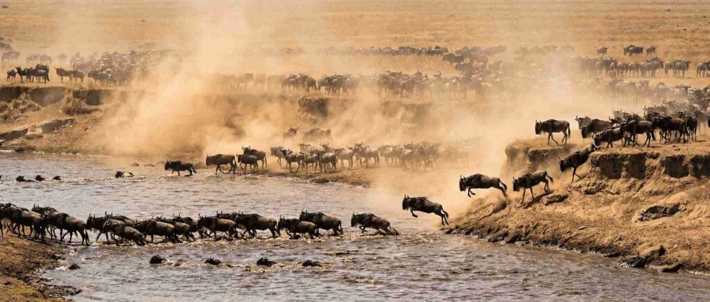 Masai mara safari Packages