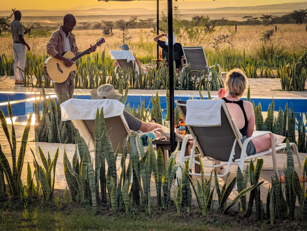 zebra plains mara experience