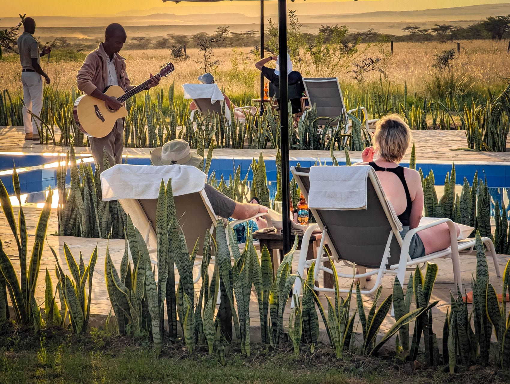zebra plains mara experience