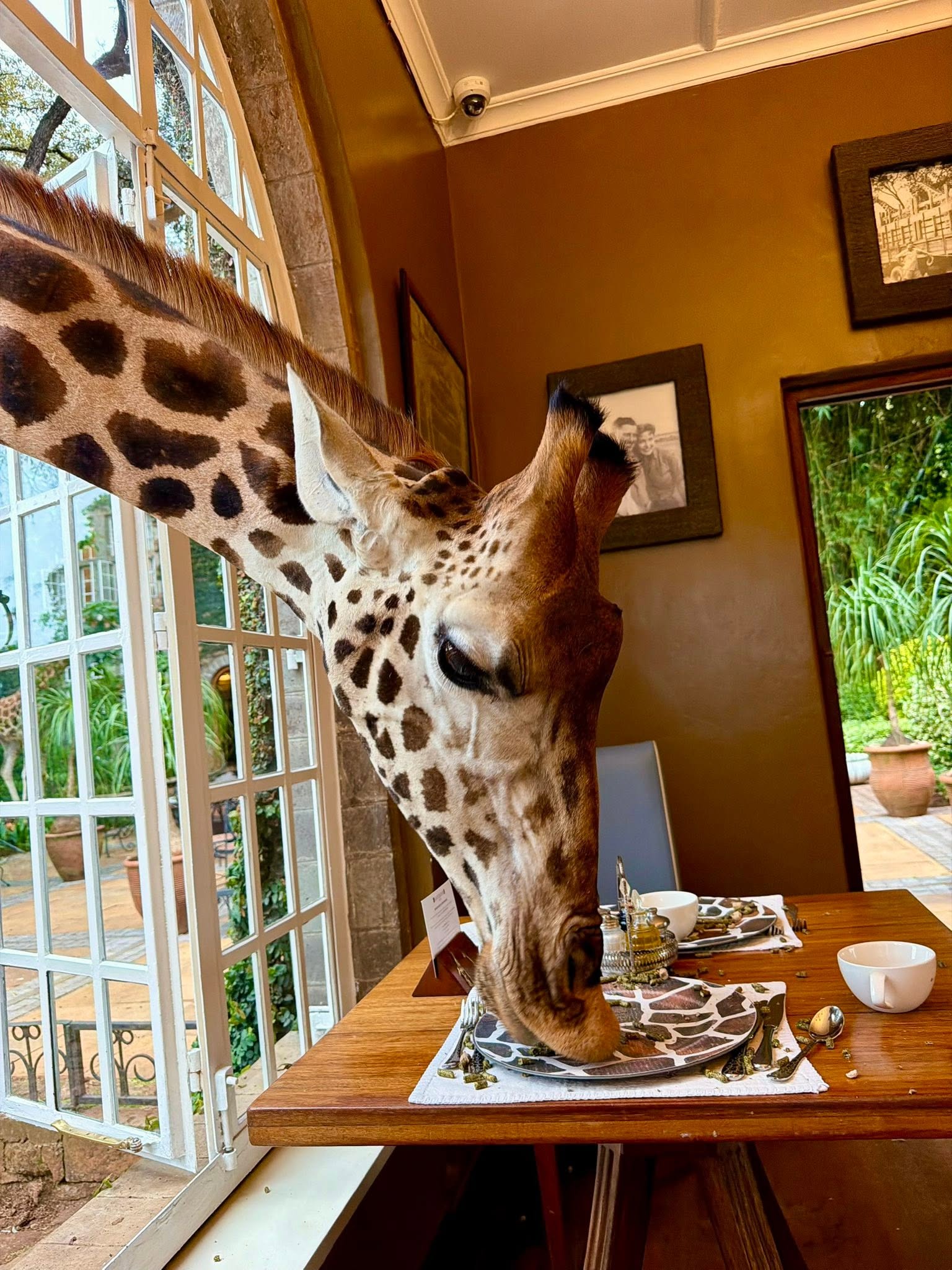 Giraffe Manor, Karen, Nairobi
