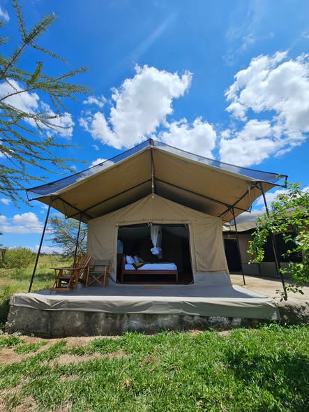 Mara Ngenche Safari Camp, Mara / Talek river confluence, Masai Mara