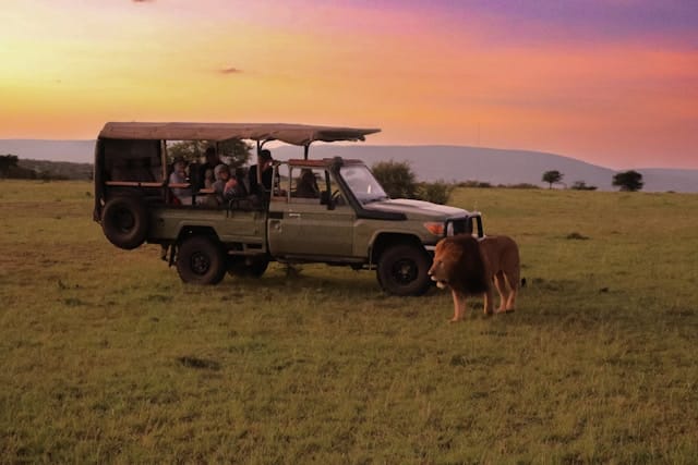 Luxury Kenya Safari Packages