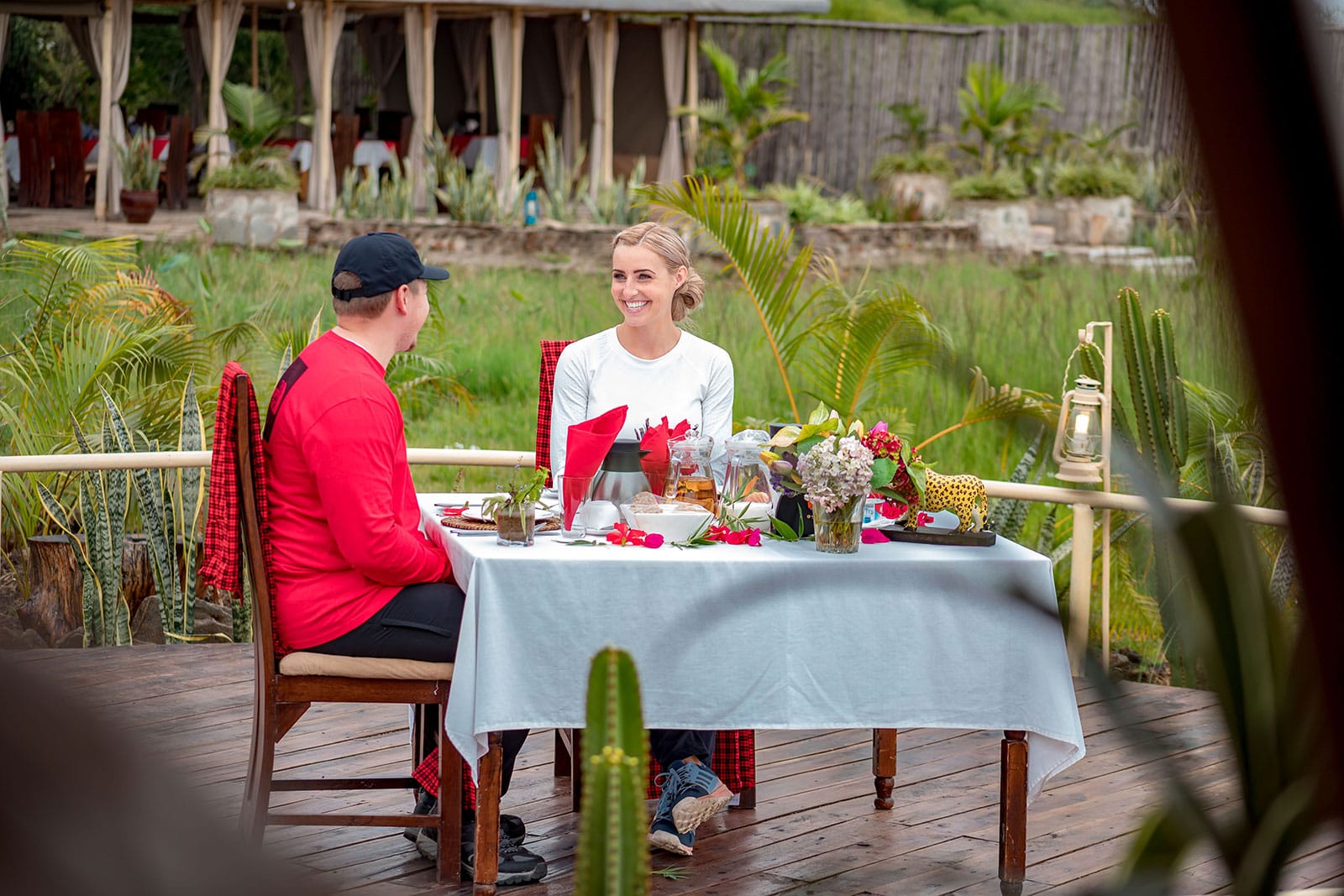 zebra plains mara experience