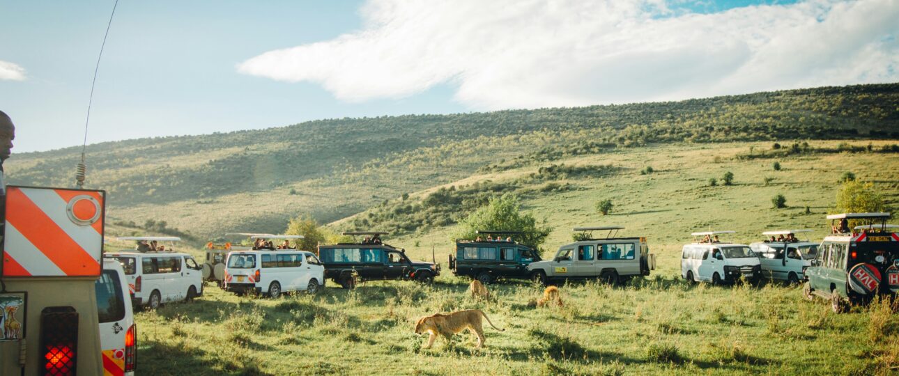 crowd of people enjoying view
