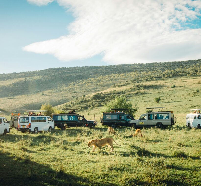 crowd of people enjoying view