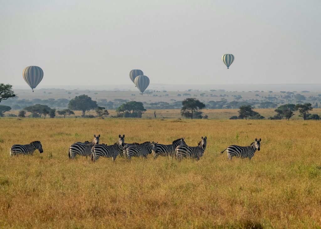 Hot air balloon safari in Maasai Mara National Reserve Kenya
