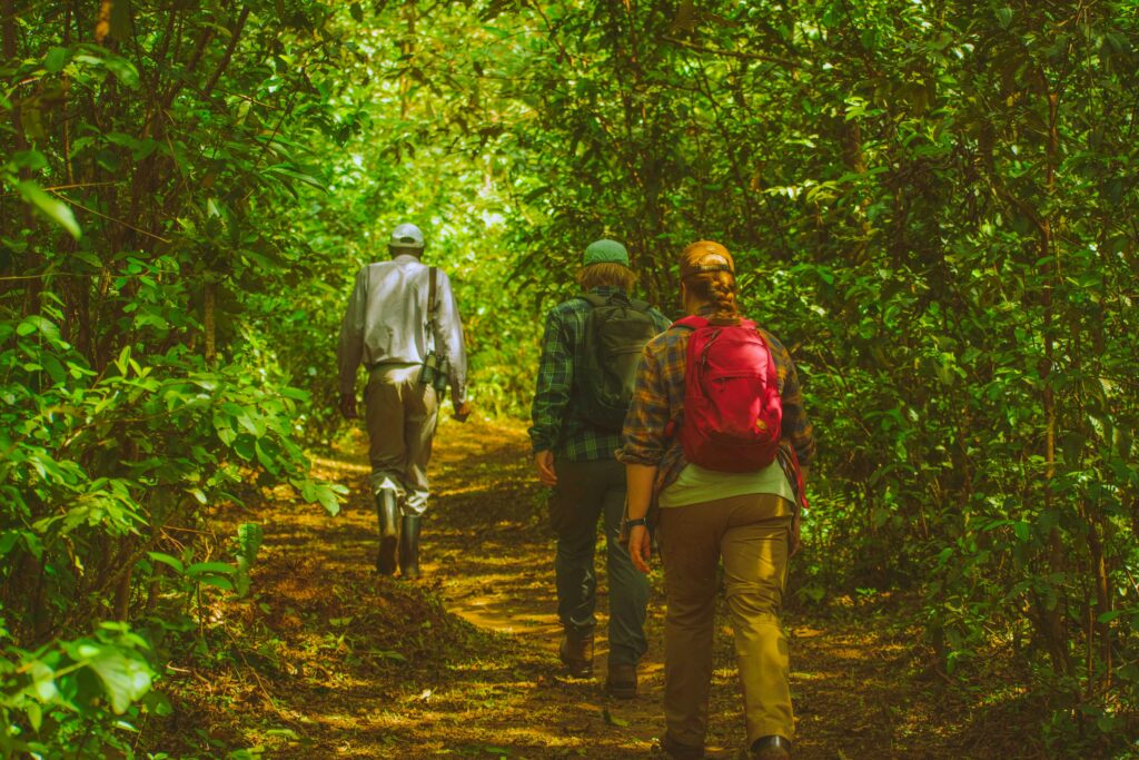 Take a bush walk and let nature do the talking.