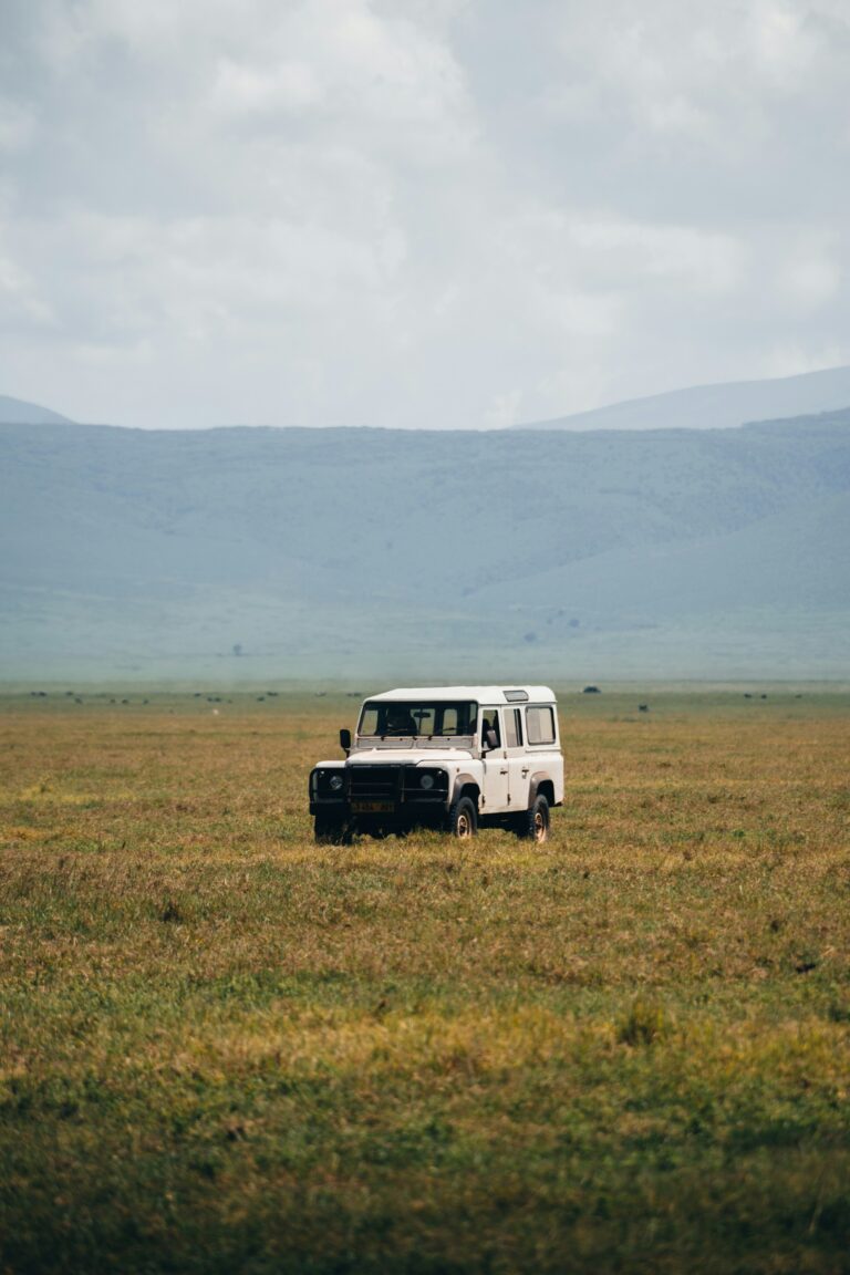 Ngorongoro Crater
