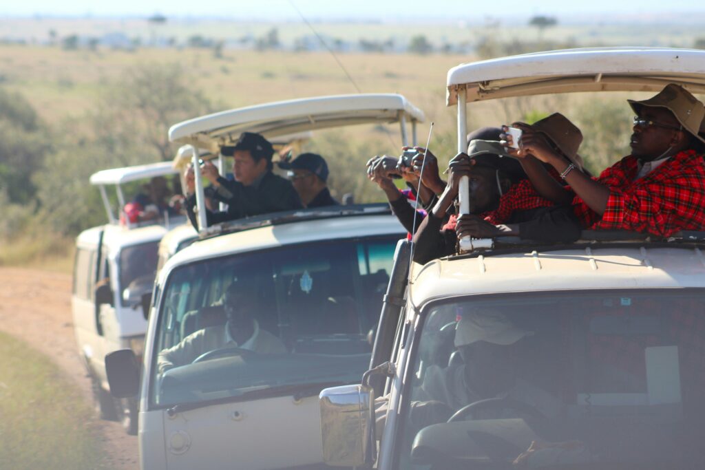 Eyes on the horizon, cameras ready for the wild.