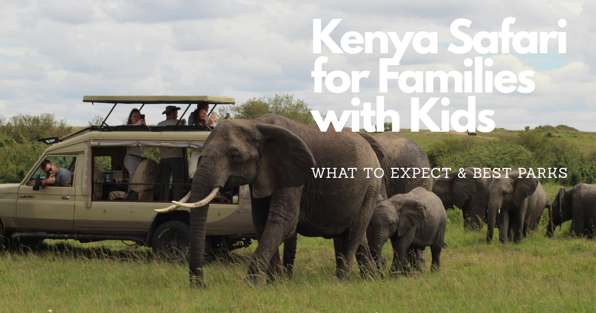 Kenya Safari for Families with Kids: 2026 Guide to What to Expect & Best Parks
