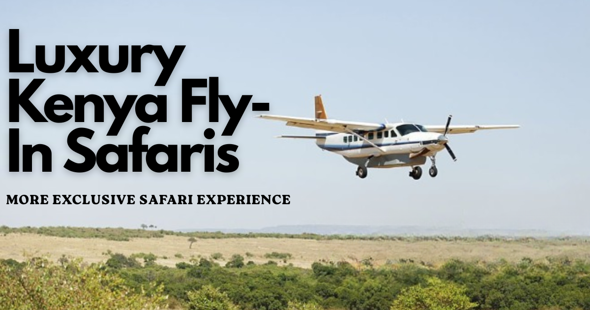 luxury Kenya fly in safaris