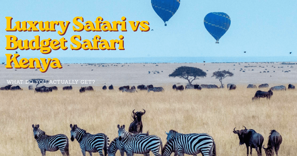 Luxury Safari vs Budget Safari Kenya: What Do You Actually Get?(2026 Guide)