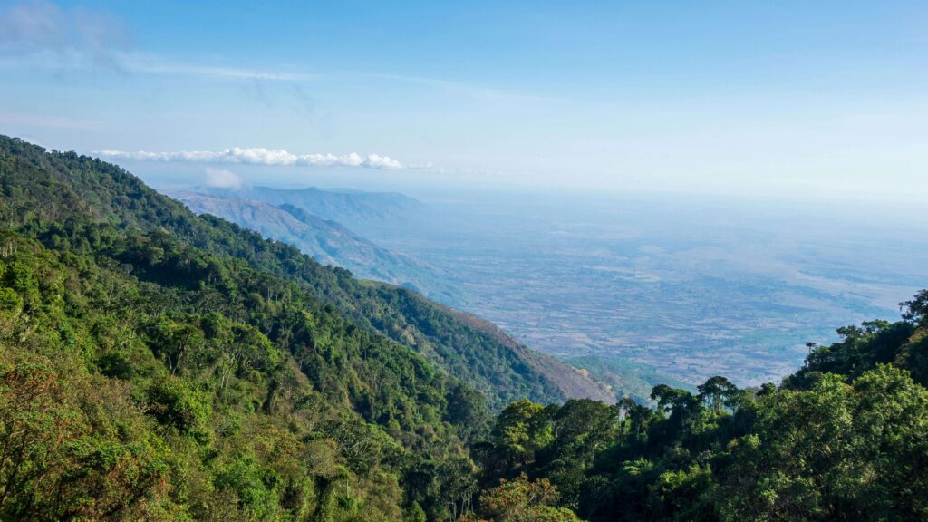 aerial view during Kenya fly in safari