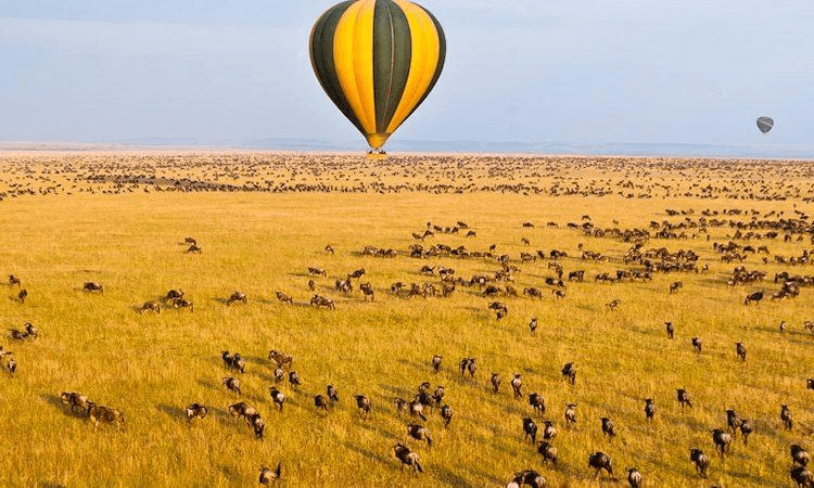 Masai Mara hot air balloon safari
