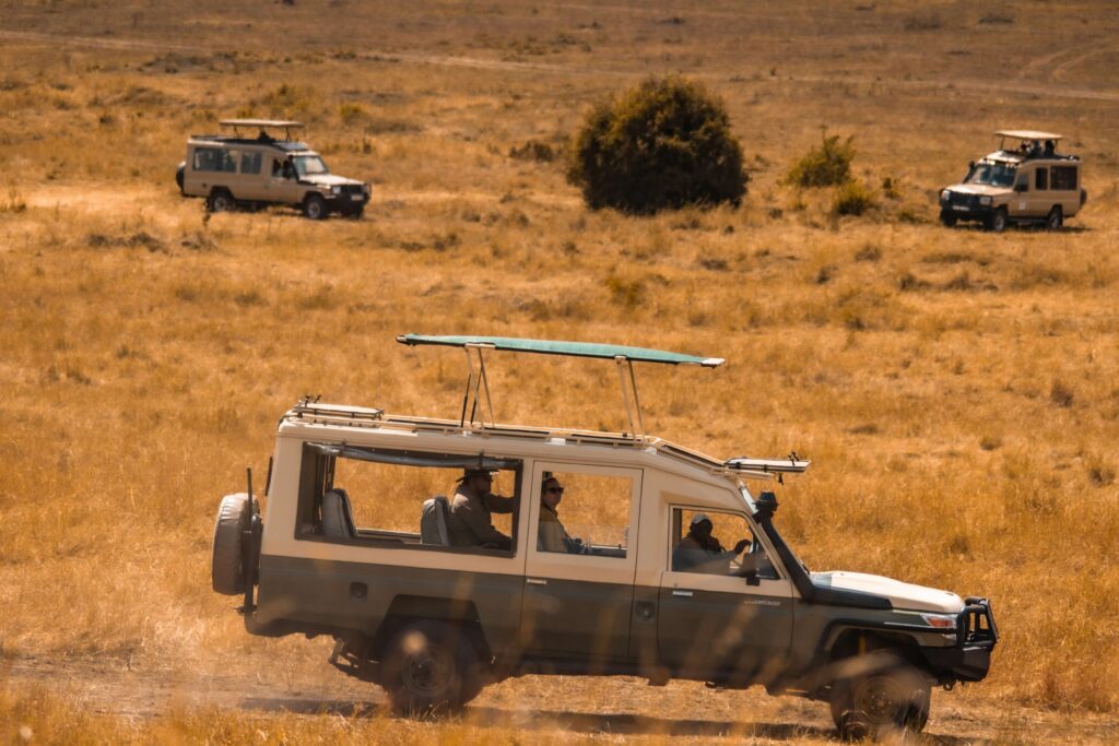 An open-sided safari vehicle drives across the golden savannah during a game drive, with additional safari vehicles in the distance as visitors explore the African wilderness.