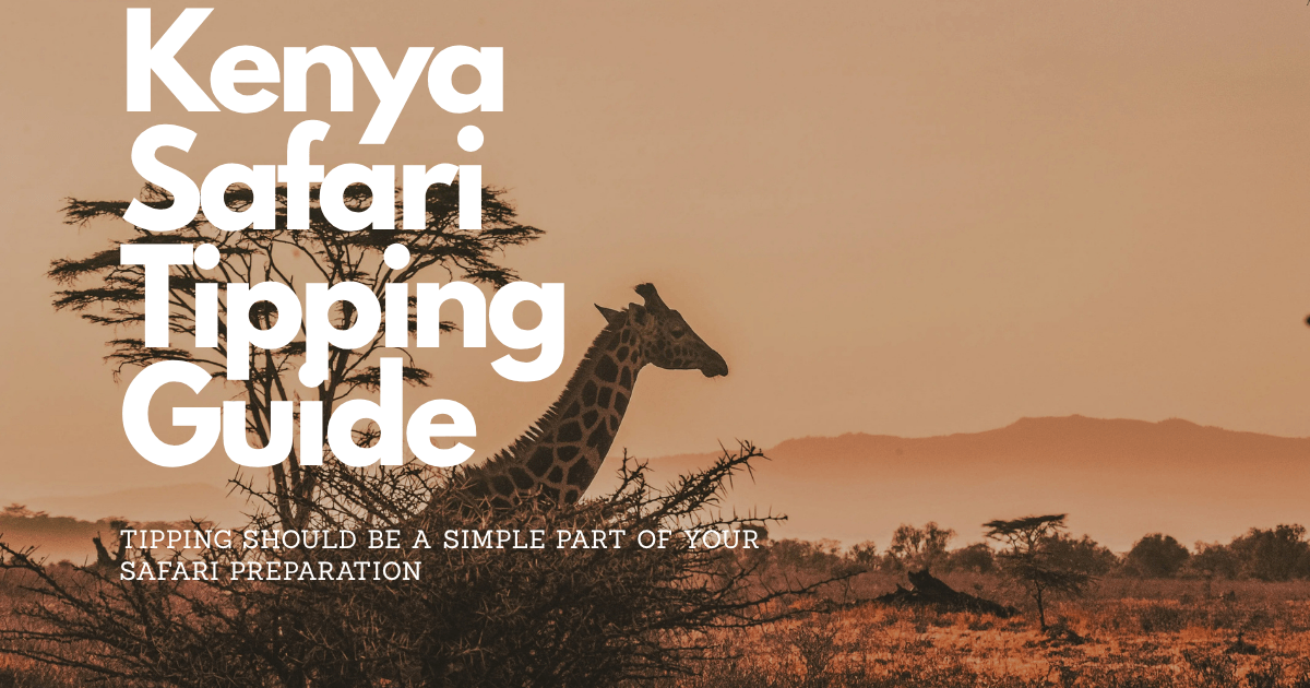 Kenya Safari Tipping Guide