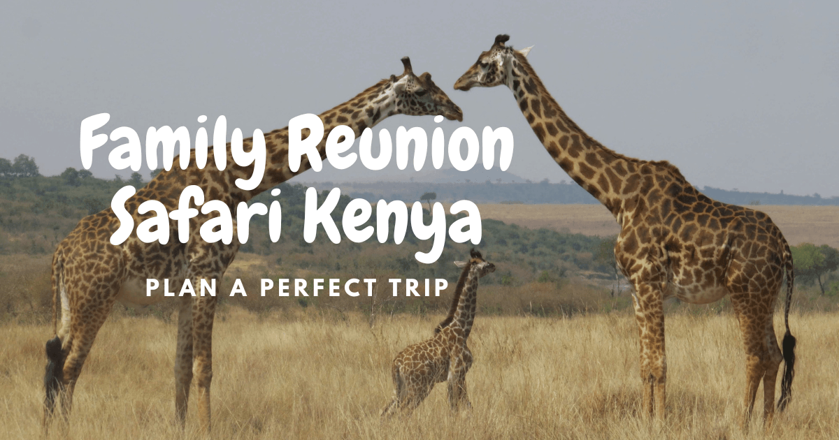Family Reunion Safari Kenya: 9 Amazing Tips for Planning a Perfect Trip