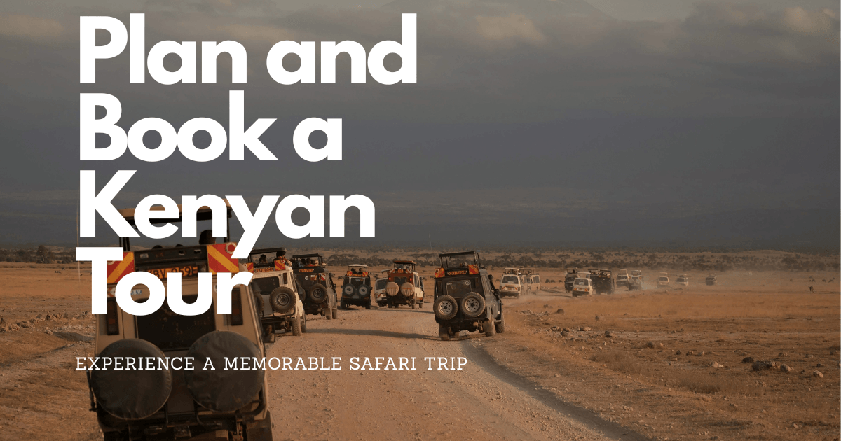How to Plan and Book a Kenyan Tour: 9 Easy Steps for an Amazing Trip