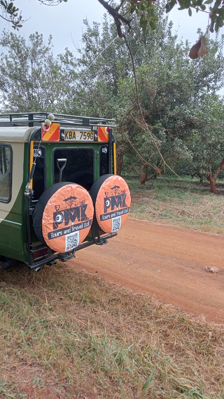 11-Day Kenya & Tanzania Safari Itinerary: Nakuru, Masai Mara, Serengeti & Ngorongoro Crater