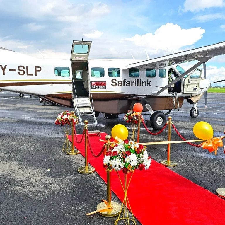 Safari fly-in airplane