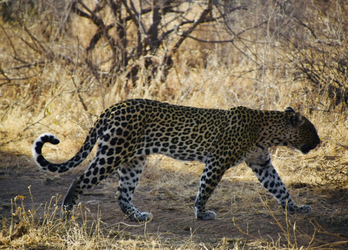 15-Day East Africa