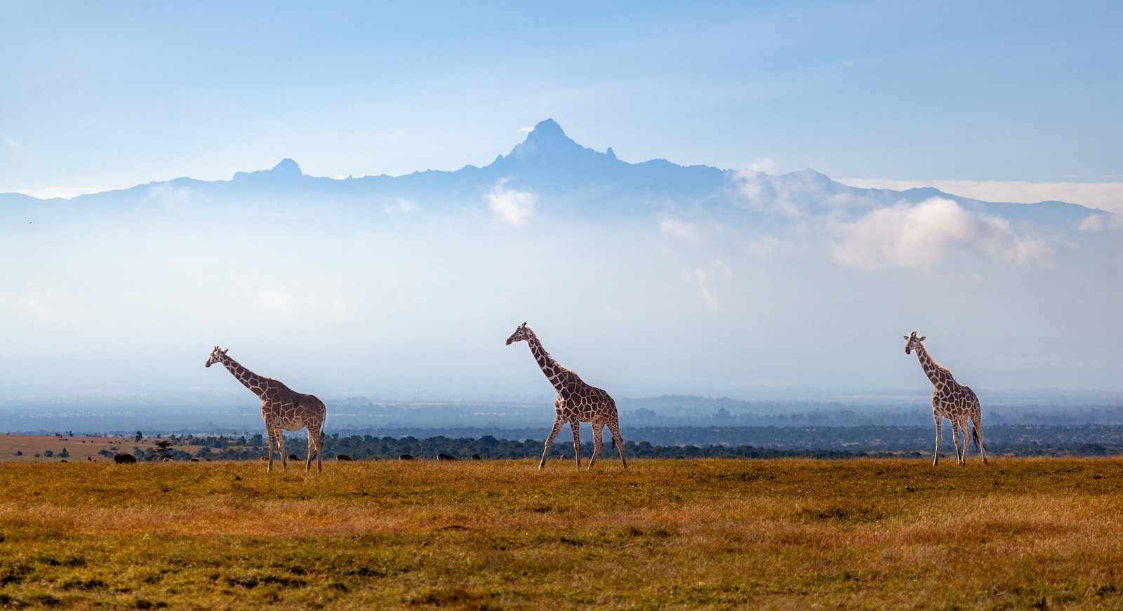 Mount Kenya scenery
