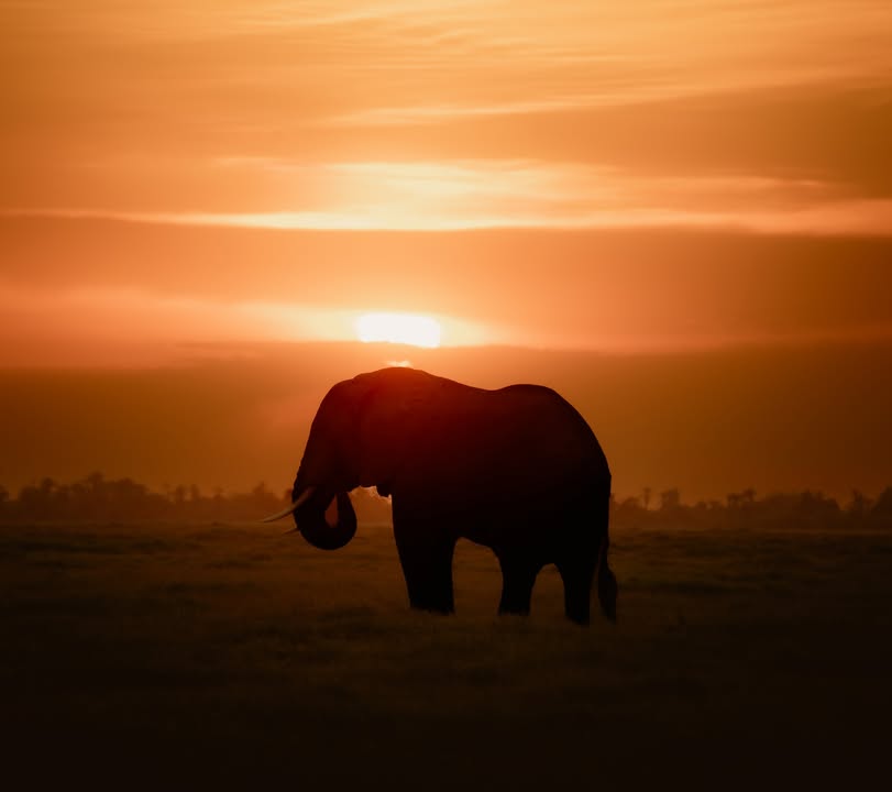 PMK Tours and Travels Ltd 